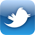 twitter-icon